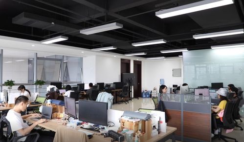 筑夢成都 歸來仍少年 公園城市里的創(chuàng)業(yè)青年有話說